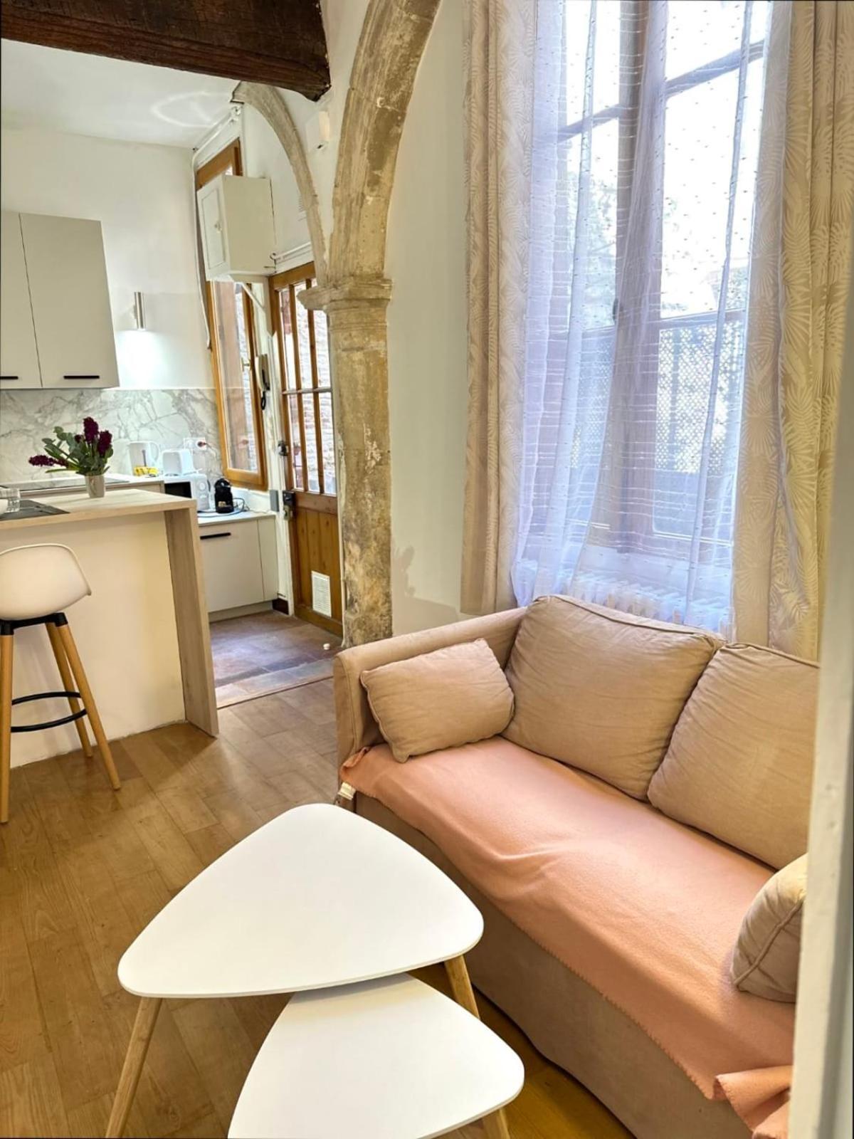 Quiet Cocoon In The Downtown * Toulouse